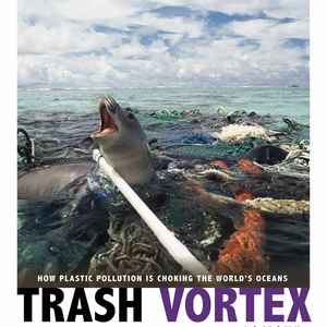 Trash Vortex