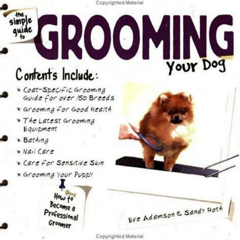 The Simple Guide to Grooming Your Dog