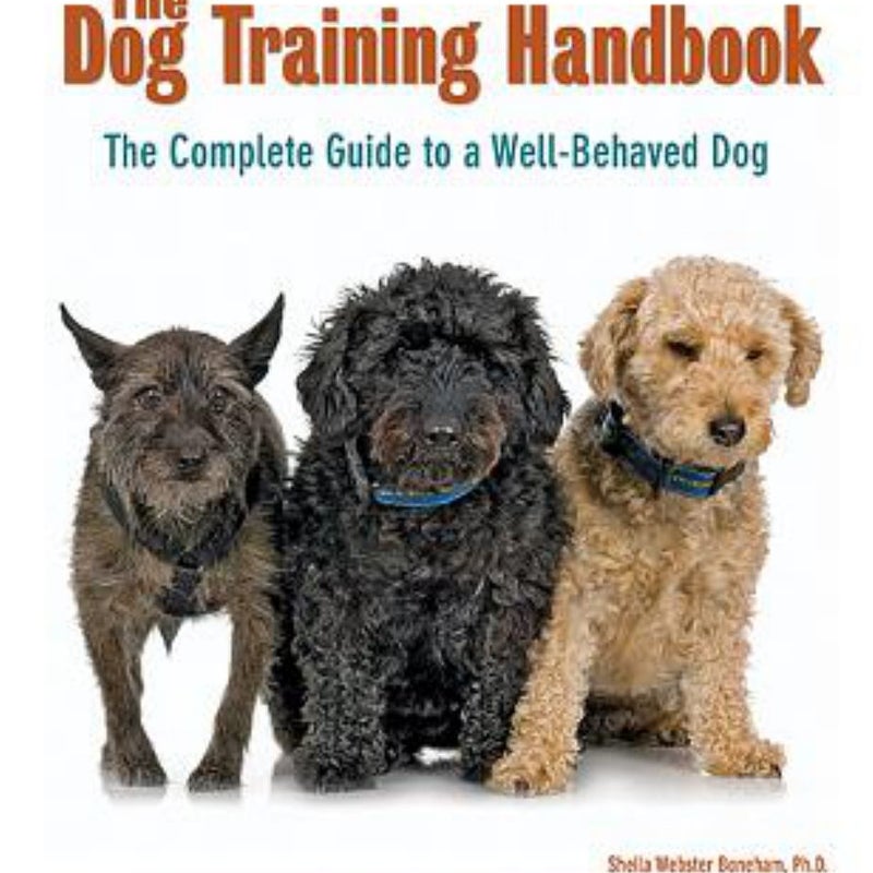 Training Your Dog for Life