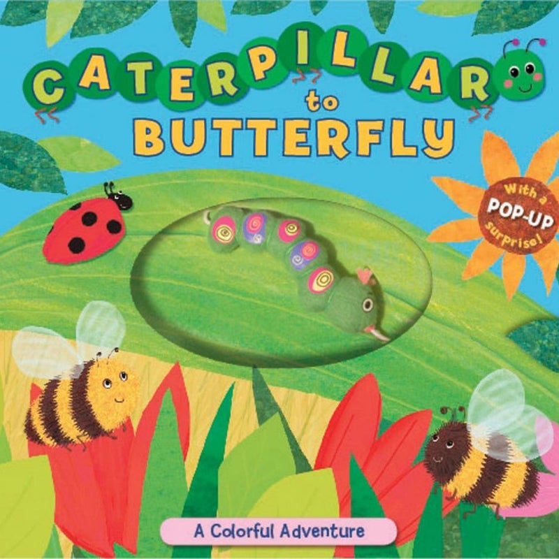 Caterpillar to Butterfly