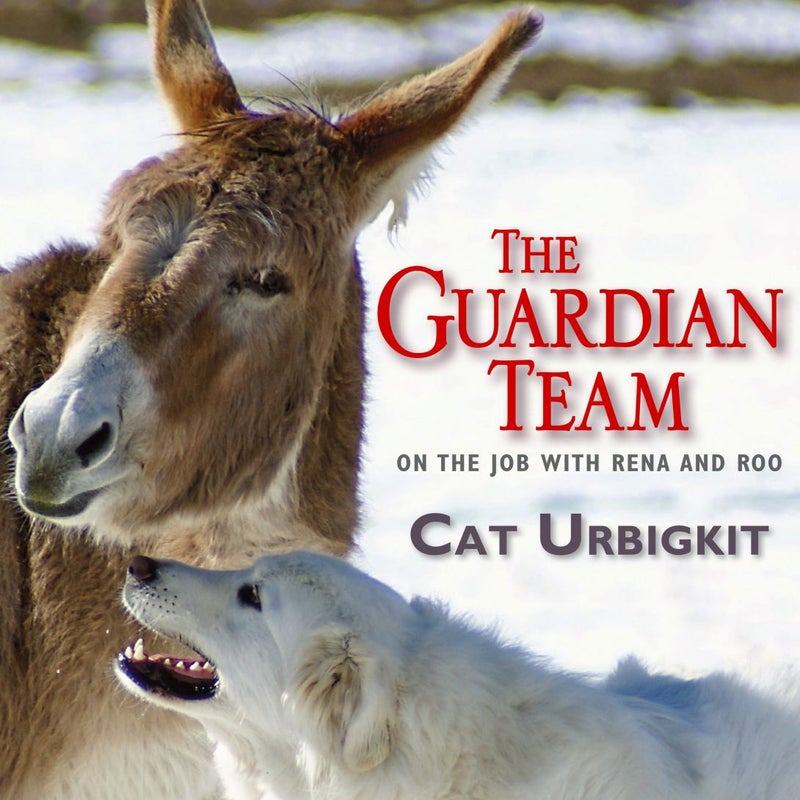 The Guardian Team