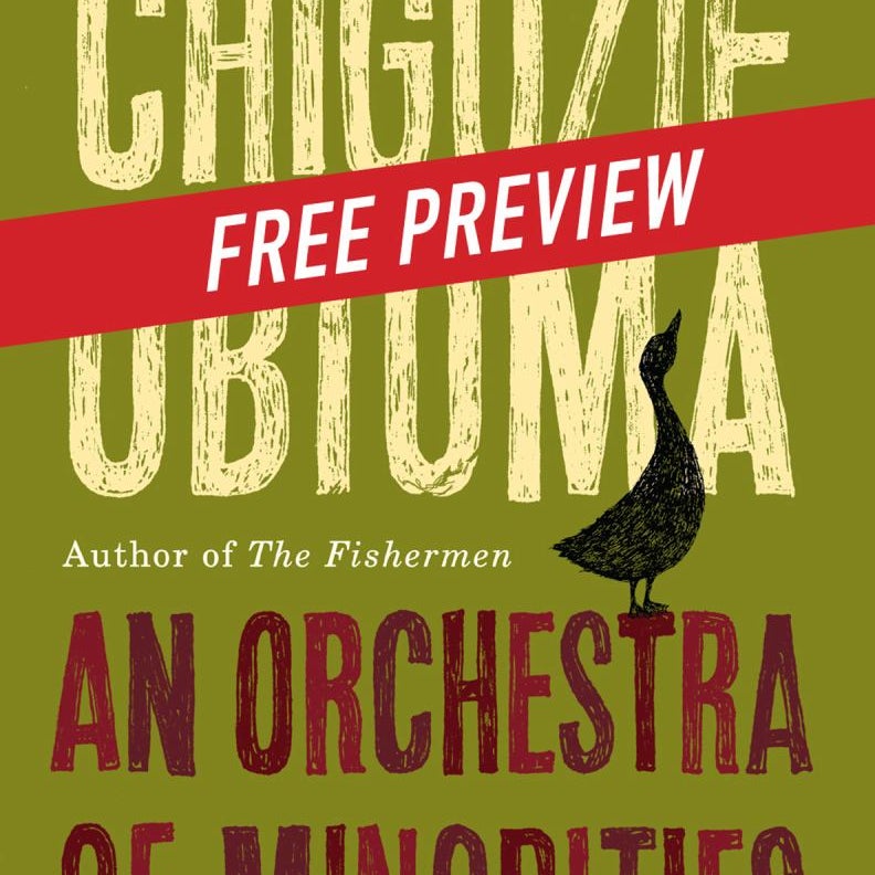 An Orchestra of Minorities -- Free Preview