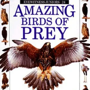 Amazing Birds of Prey