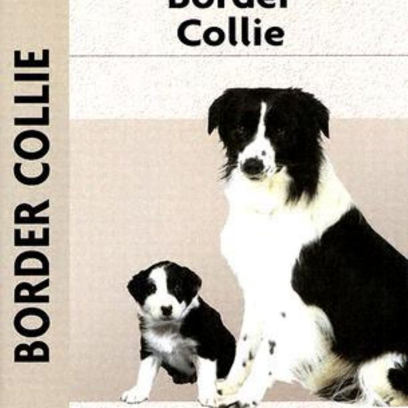 Border Collie