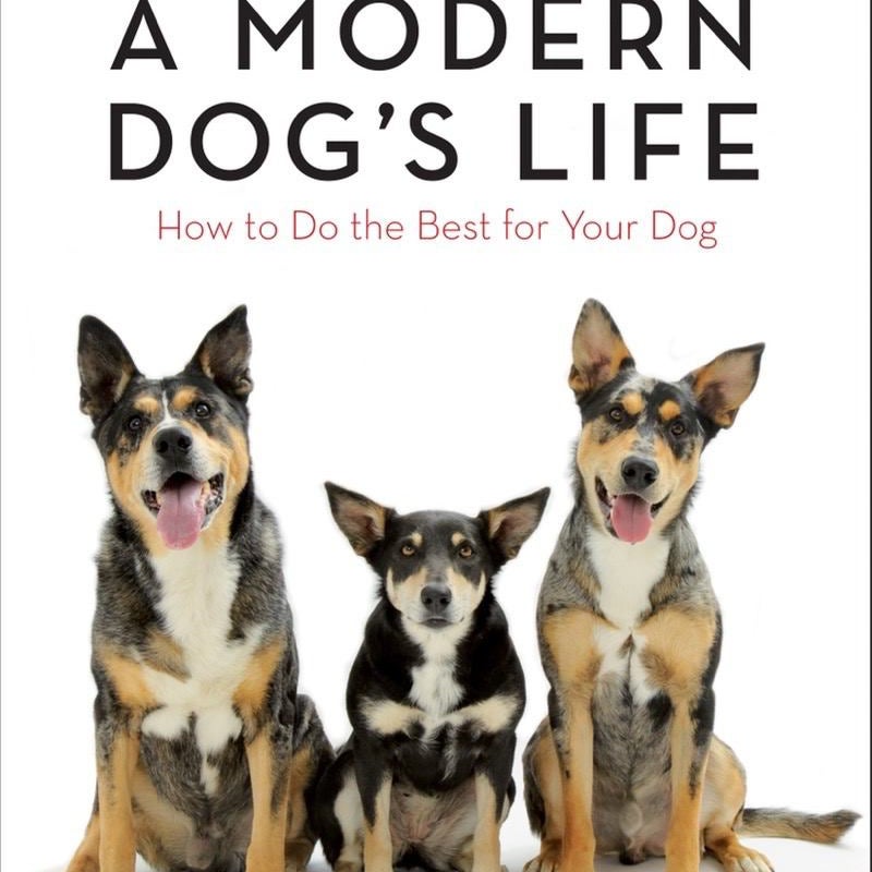 A Modern Dog's Life