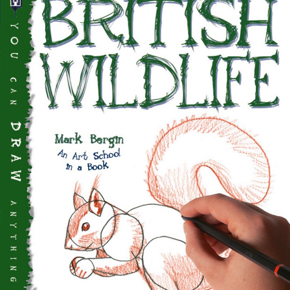 How To Draw In 3D: Mark Bergin: 9781910706541 - Foto 3