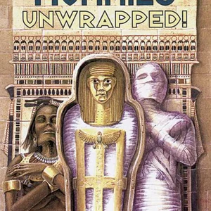 Mummies Unwrapped, Level 3