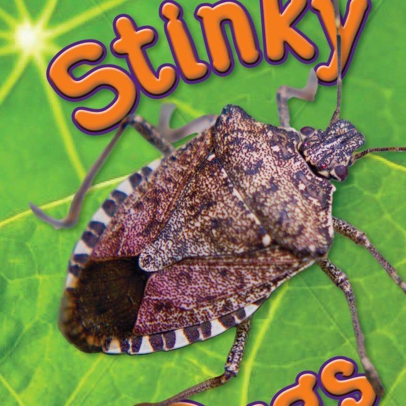 Stinky Bugs, Level 2