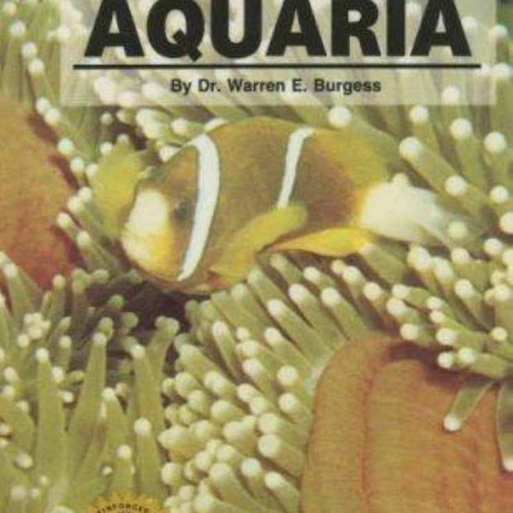 Marine Aquaria