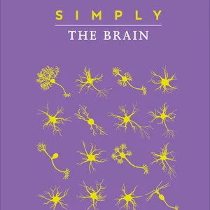 Simply the Brain