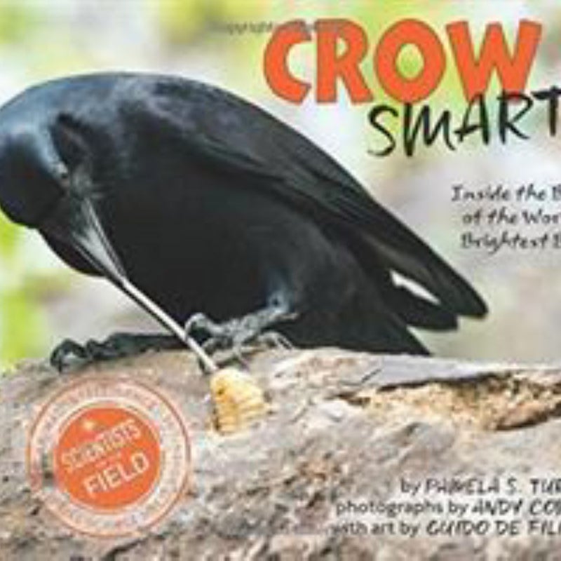 Crow Smarts