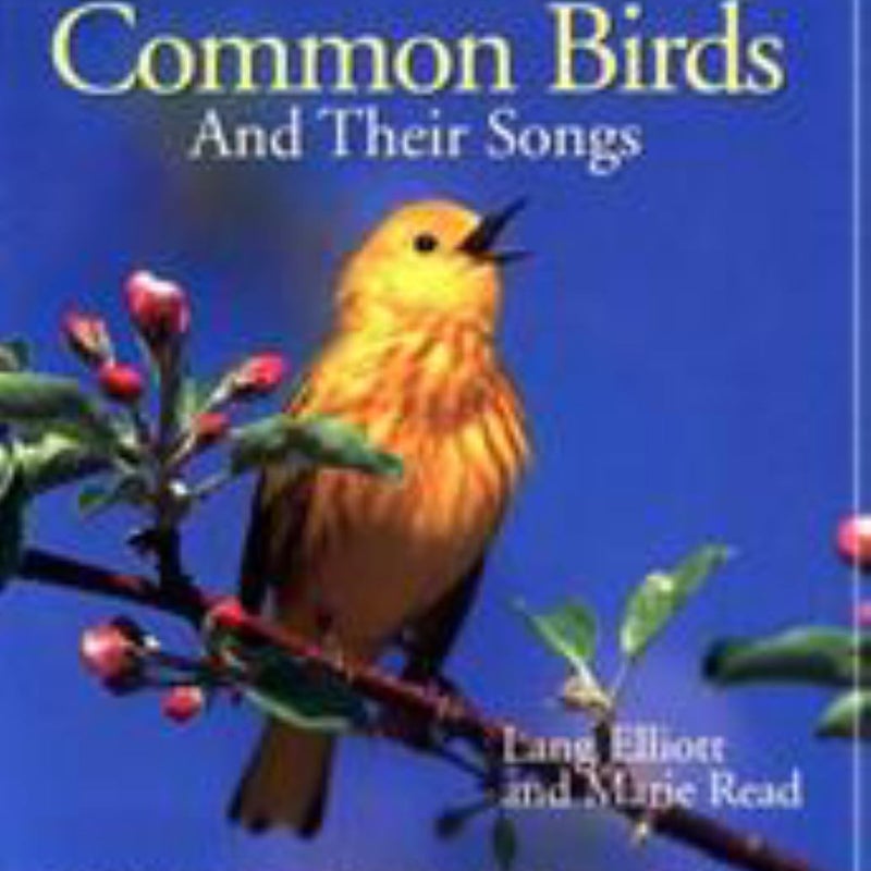 Common Birds and Their Songs by Lang Elliott | Pangobooks