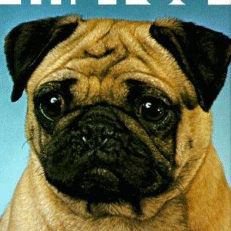 The Book of the Pug