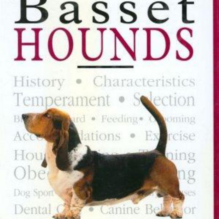 A New Owner's Guide to Basset Hounds