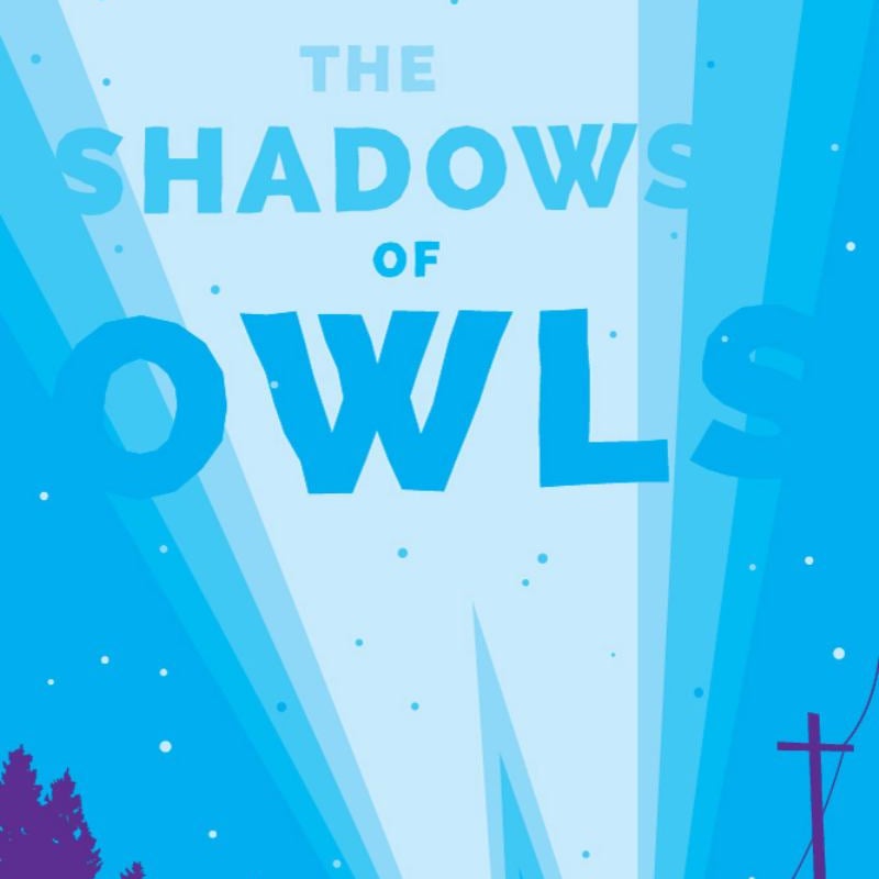 The Shadows of Owls