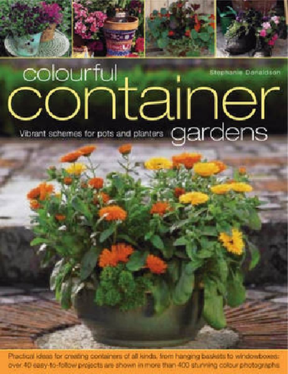 Colourful Container Gardens