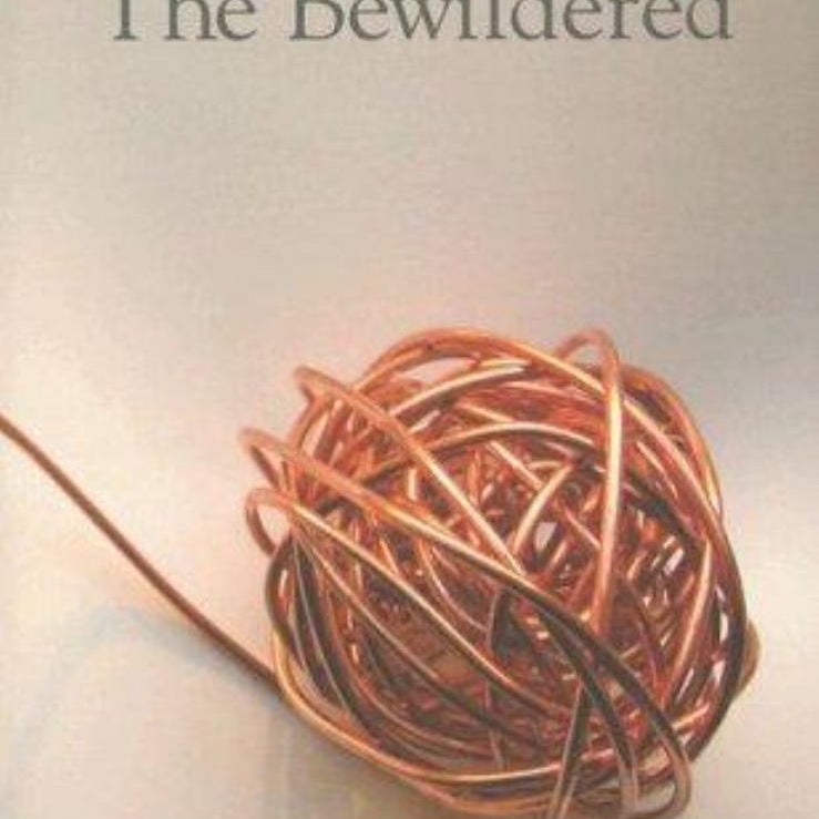 The Bewildered