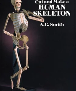 Cut and Make a Human Skeleton