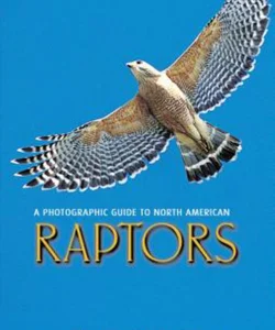 A Photographic Guide to North American Raptors