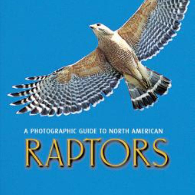 A Photographic Guide to North American Raptors