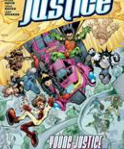 Young Justice Book Four