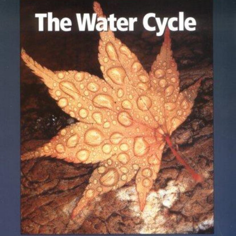 The Water Cycle