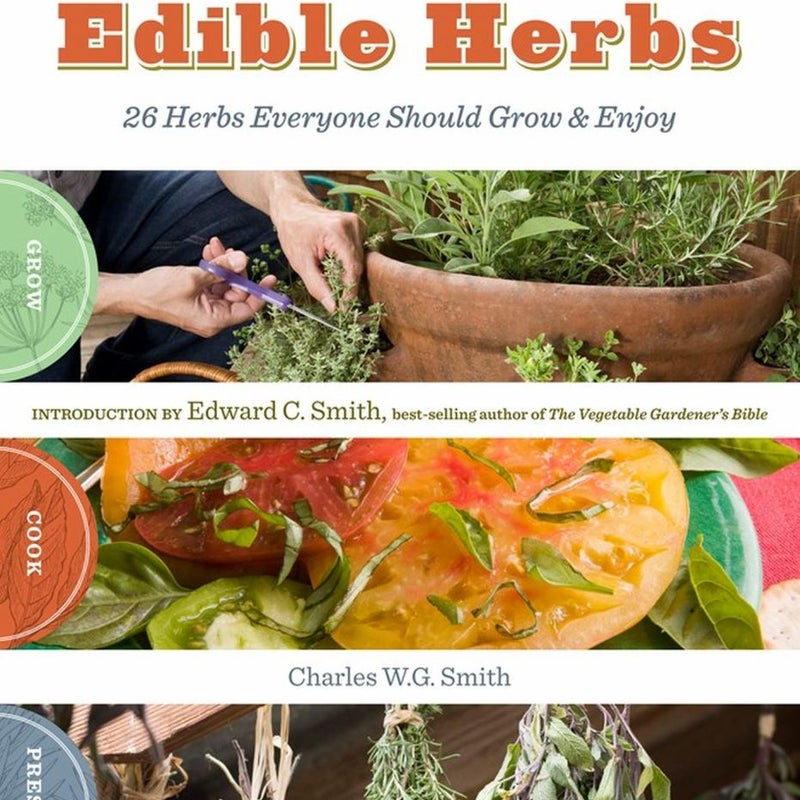 The Beginner's Guide to Edible Herbs