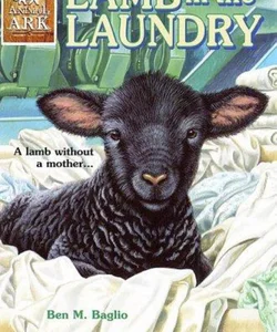 Lamb in the Laundry