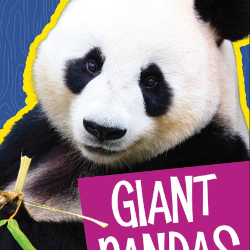 Giant Pandas