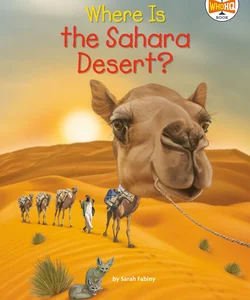 Where Is the Sahara Desert?