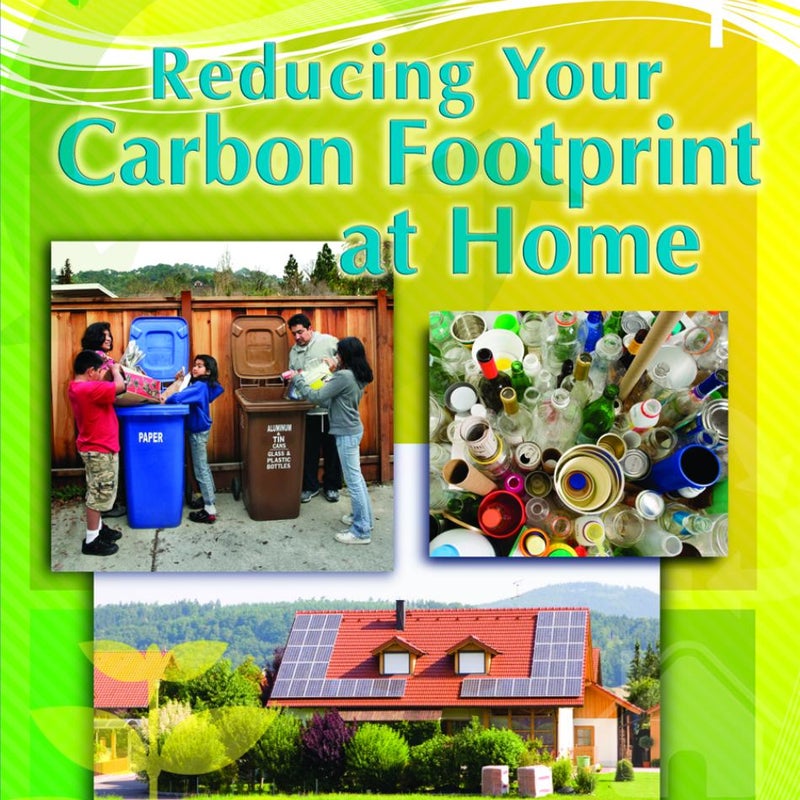 Reducing Your Carbon Footprint at Home