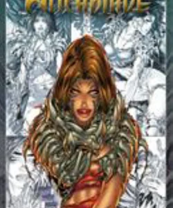 The Complete Witchblade Volume 1