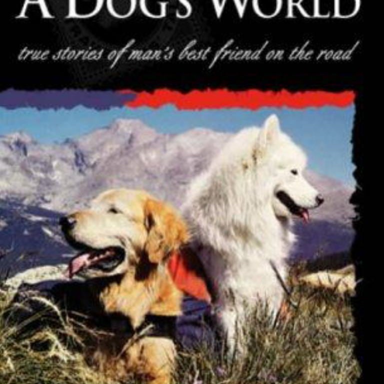 A Dog's World