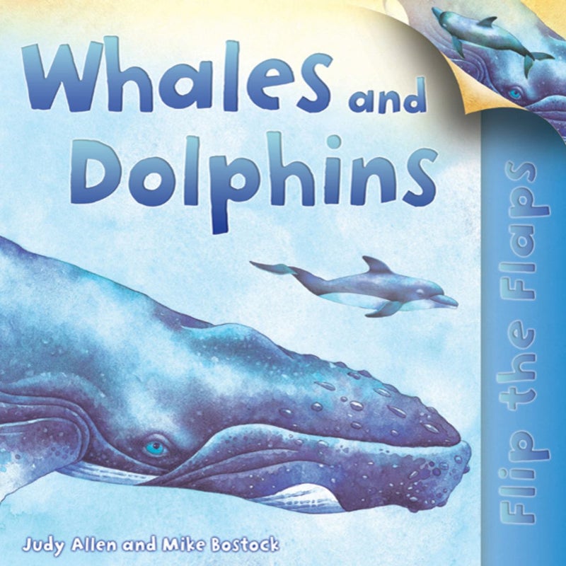 Flip the Flaps: Whales and Dolphins