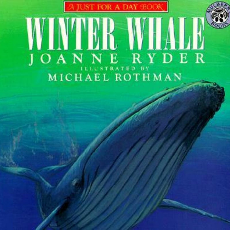 Winter Whale