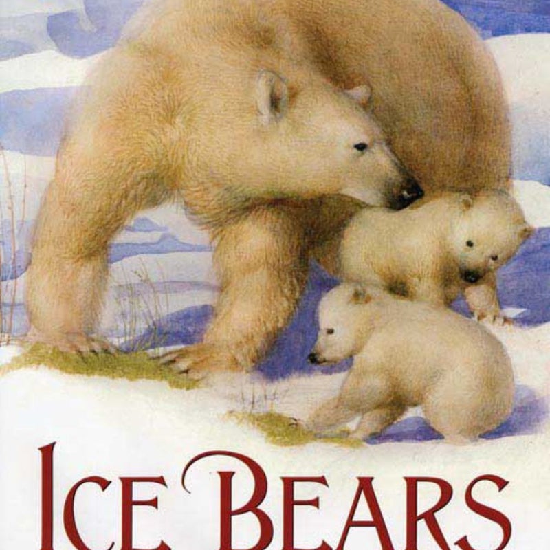 Ice Bears