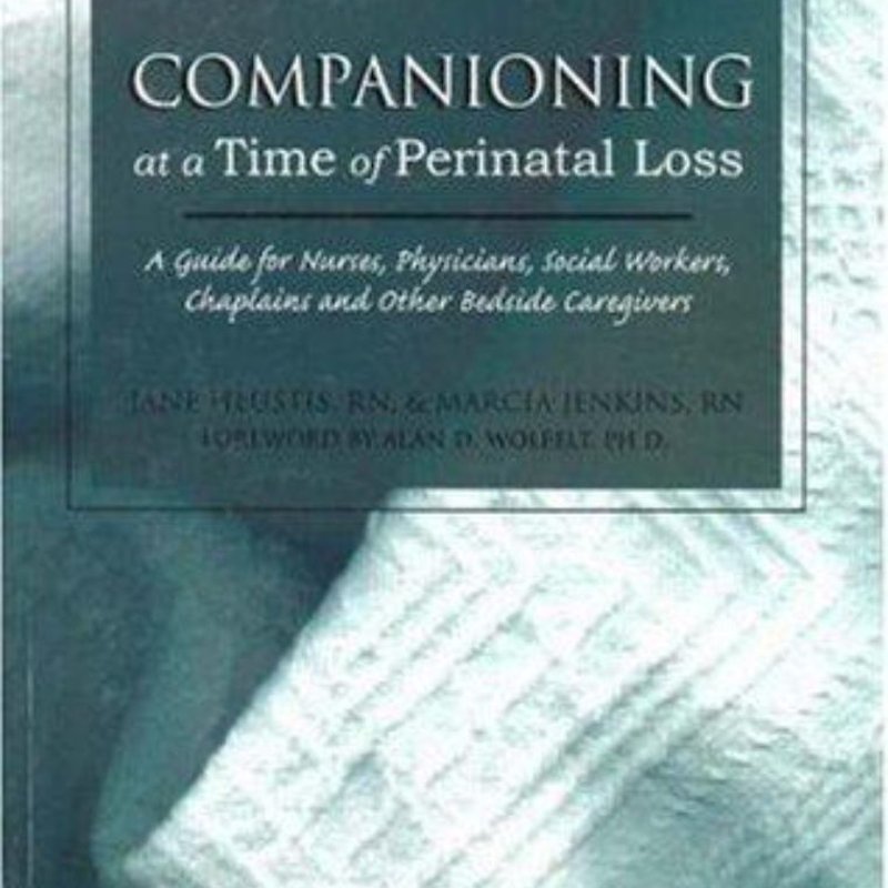 Companioning at a Time of Perinatal Loss by Marcia Meyer Meyer Jenkins ...