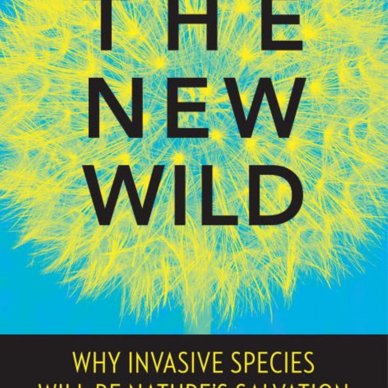 The New Wild