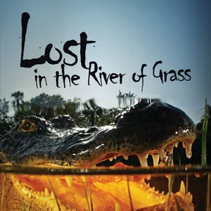 Lost in the River of Grass