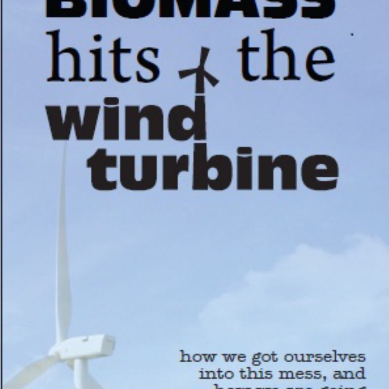 When the BioMass Hits the Wind Turbine