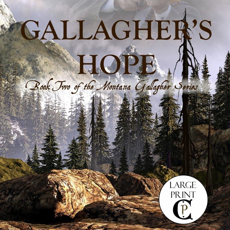 Gallagher's Hope (Cambron Press Large Print)