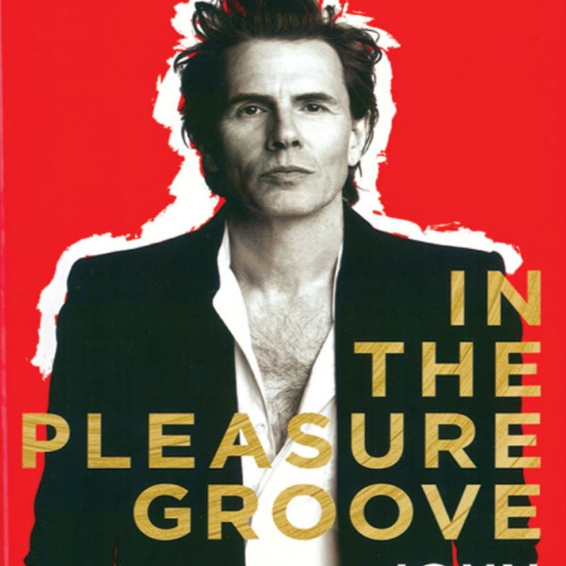 In the Pleasure Groove