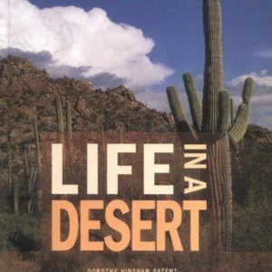 Life in a Desert