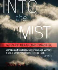 Into the Mist Volume 1