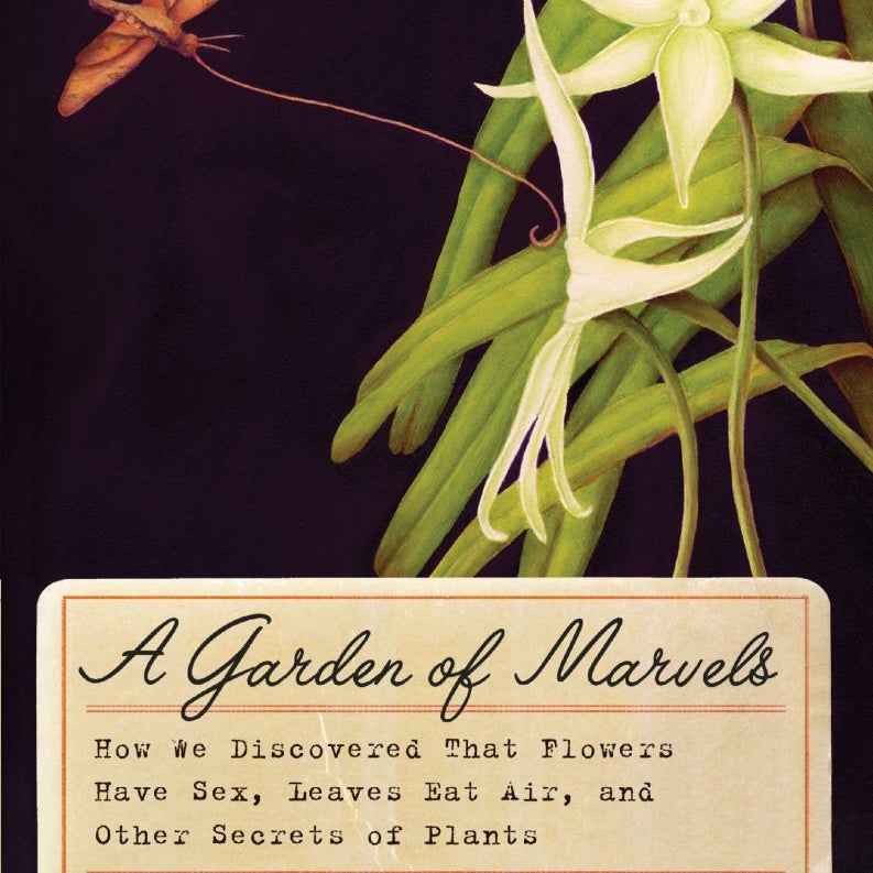 A Garden of Marvels