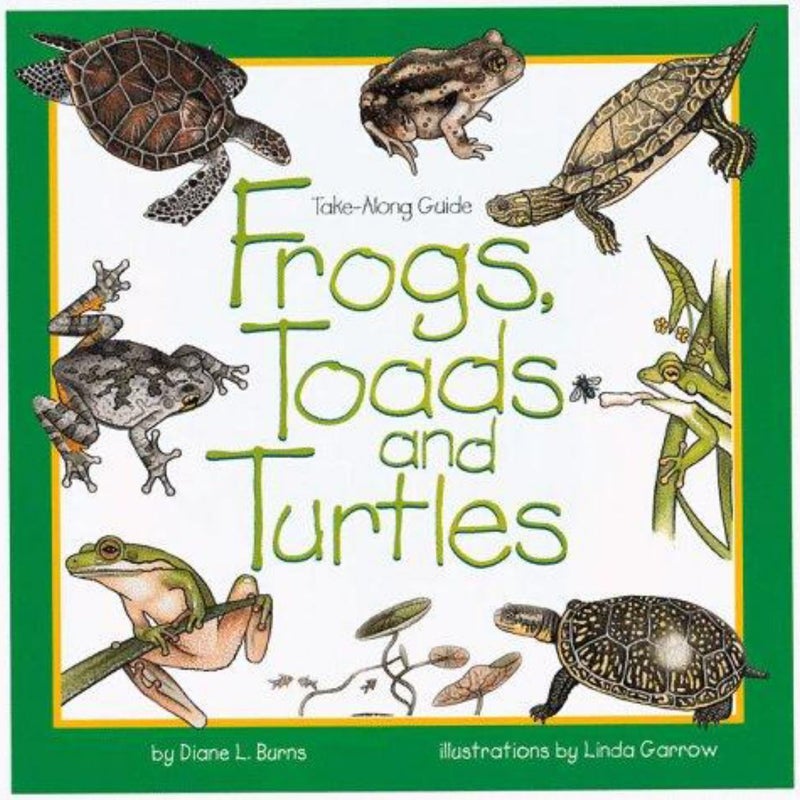 Frogs, Toads and Turtles