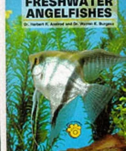 Freshwater Angelfish