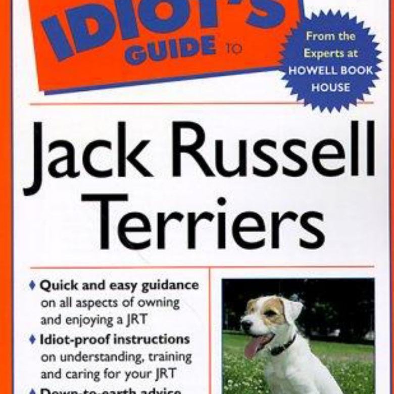 Owning, Raising and Training a Jack Russell Terrier