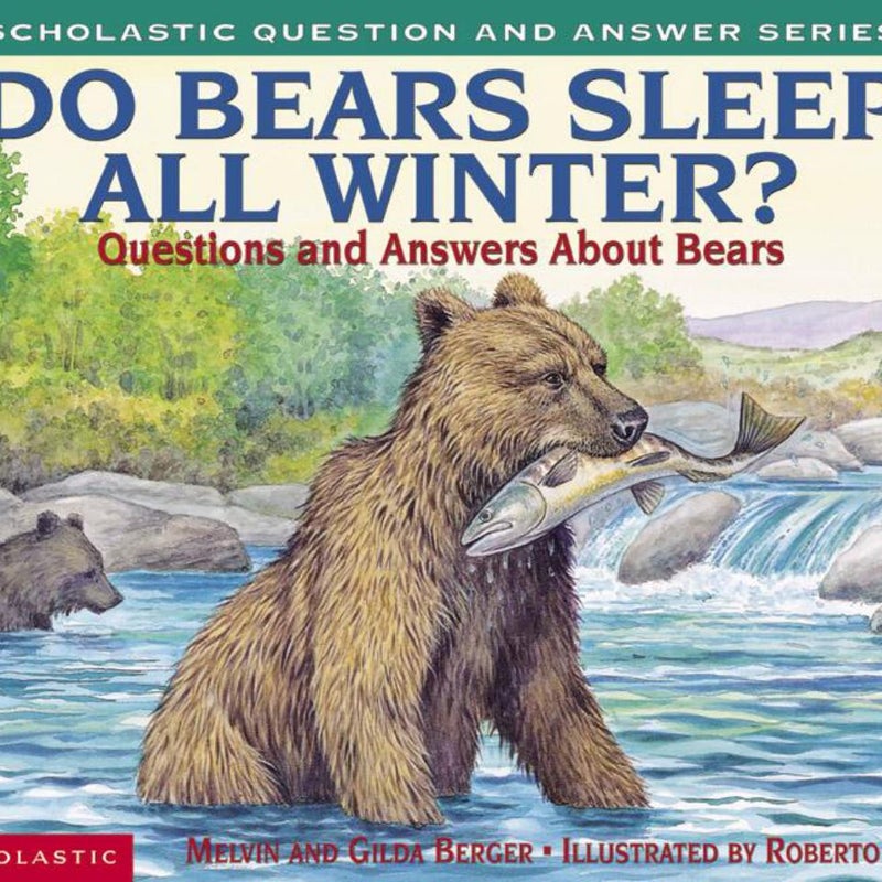 Do Bears Sleep All Winter?