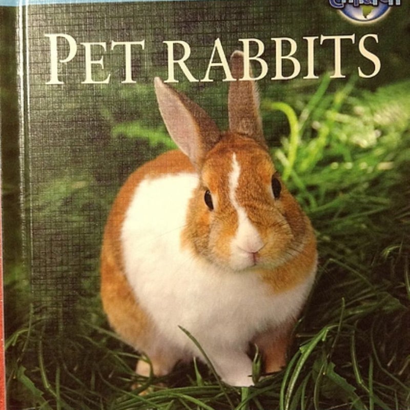 Pet Rabbits